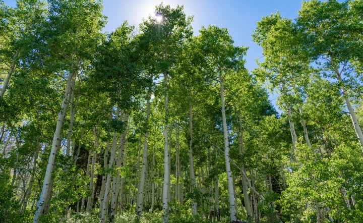 What Doesn’t Kill&nbsp;You…